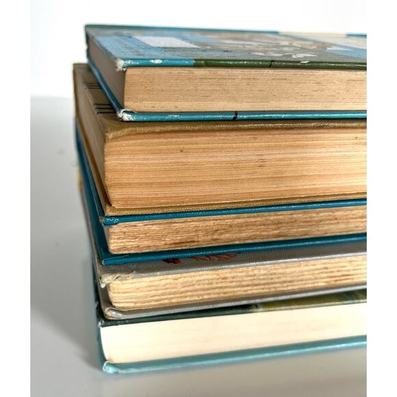 Vintage Book Lot Of 5 Children’s Kids Hardcover Prop Decor Animals Colorful - Picture 5 of 8